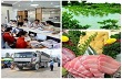 Chỉ đạo, điều hành của Chính phủ, Thủ tướng Chính phủ nổi bật tuần 6-10/1/2014